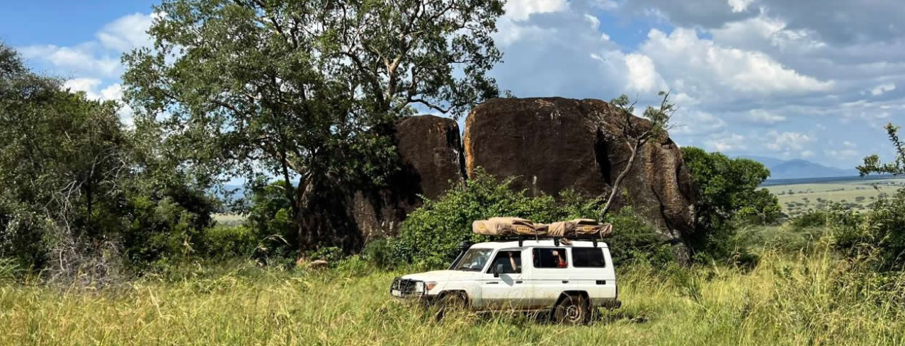 African Cultural Experience