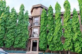 Hotel Image 15